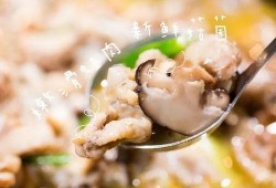 爆料牛蛙视频大全最新版,最新版爆料，趣味横生瞬间回顾