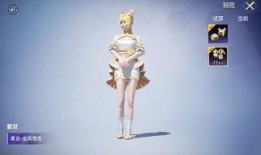 和平精英最新消息爆料中转盘,神秘中转盘揭秘，全新玩法即将上线！